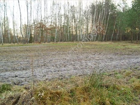 Działka budowlana na sprzedaż Otwock, Wólka Mlądzka 915m2 Foto 4
