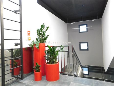 Lokal użytkowy na wynajem Piaseczno 720m2 Foto 9