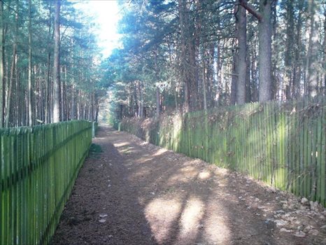 Działka siedliskowa na sprzedaż Krucz, Gminna 1 400m2 Foto 4