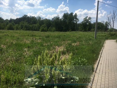 Działka przemysłowo-handlowa na sprzedaż Emilianów, wjazd z węzła trasy S8 Wola Rasztowska 56 264m2 Foto 8