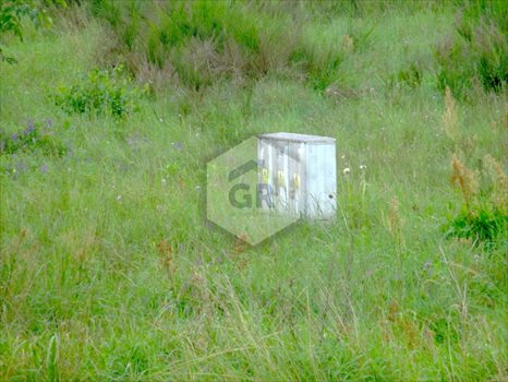Działka budowlana na sprzedaż Bojano, Józefa Wybickiego 1 555m2 Foto 2