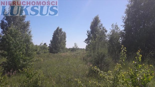 Działka budowlana na sprzedaż Nowe Racibory, Nowe Racibory 1 100m2 Foto 3