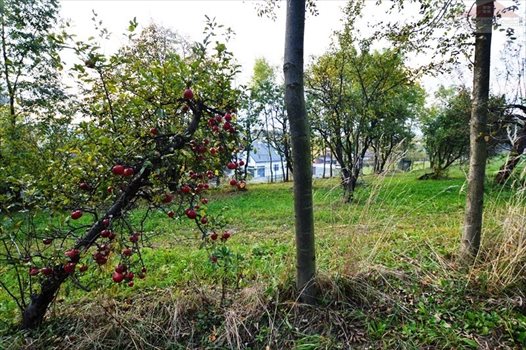 Działka rekreacyjna na sprzedaż Żurawica 2 200m2 Foto 2