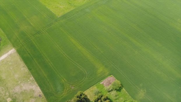 Działka budowlana na sprzedaż Tałty 900m2 Foto 6