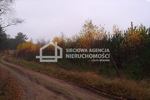 Działka leśna na sprzedaż Skwierawy 64 900m2 Foto 1