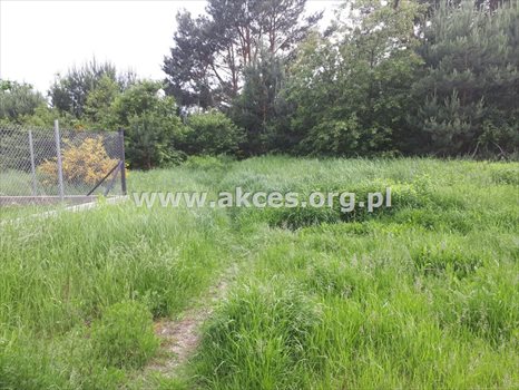 Działka budowlana na sprzedaż Jesówka 1 400m2 Foto 4
