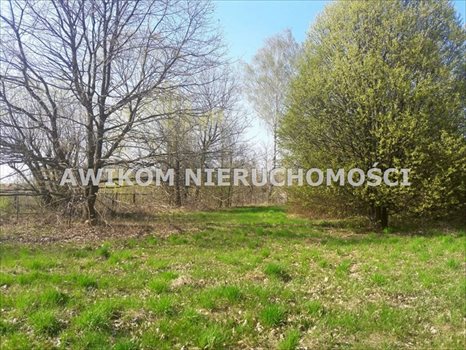 Działka budowlana na sprzedaż Jaktorów 4 500m2 Foto 5