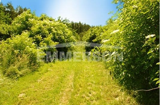 Działka budowlana na sprzedaż Sulistrowice, Sulistrowice 981m2 Foto 2