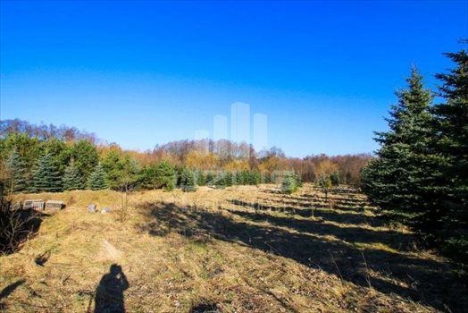 Działka inna na sprzedaż Bielkówko, Dworcowa 10 000m2 Foto 2