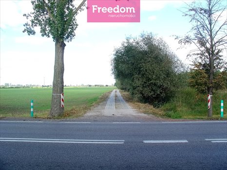 Działka budowlana na sprzedaż Cisy 1 507m2 Foto 2