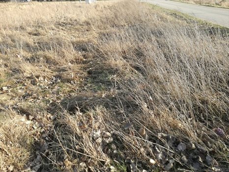 Działka inna na sprzedaż Połchowo 873m2 Foto 5