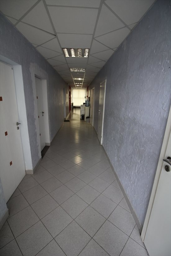 Lokal użytkowy na sprzedaż Rzeszów, Zawiszy Czarnego 174m2 Foto 2