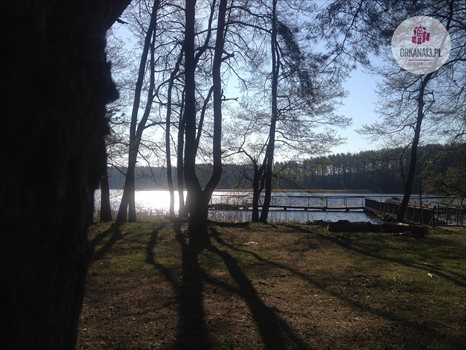 Działka rekreacyjna na sprzedaż Ząbie, Ząbie 2 981m2 Foto 10
