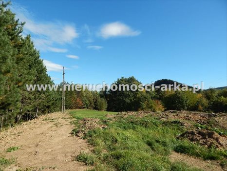 Działka budowlana na sprzedaż Skrzydlna 4 500m2 Foto 1