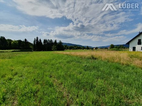 Działka budowlana na sprzedaż Czaniec 773m2 Foto 7