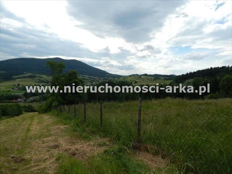 Działka budowlana na sprzedaż Dobra 6 100m2 Foto 4