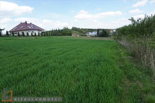 Działka budowlana na sprzedaż Cianowice Duże 4 006m2 Foto 5