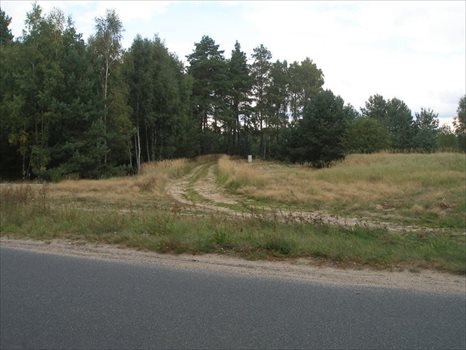 Działka budowlana na sprzedaż Wierzchosław 3 188m2 Foto 8