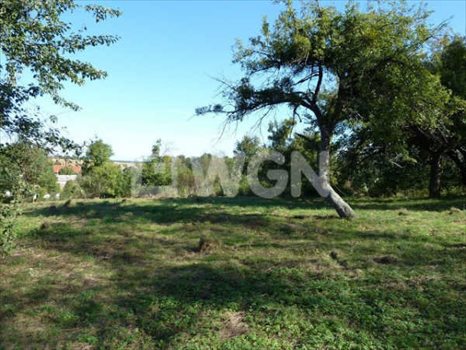 Działka budowlana na sprzedaż Księginice Małe, Jagodowa 5 000m2 Foto 4