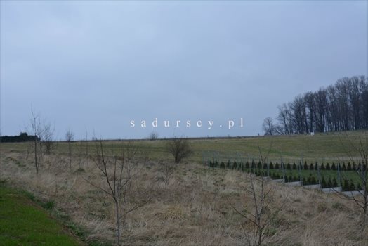 Działka budowlana na sprzedaż Mogilany 1 835m2 Foto 6