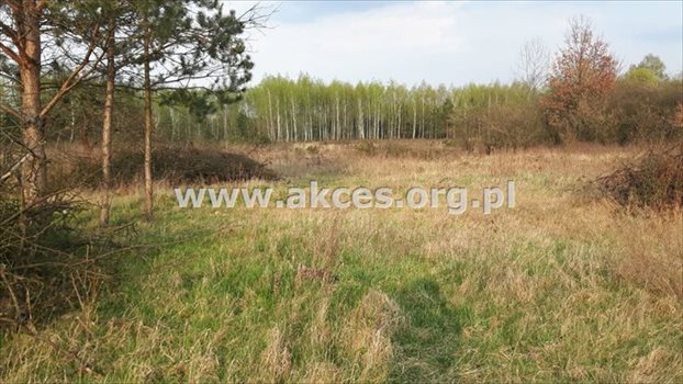 Działka budowlana na sprzedaż Stefanówka 6 231m2 Foto 2