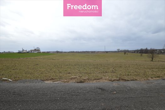 Działka inna na sprzedaż Mierki 3 004m2 Foto 3