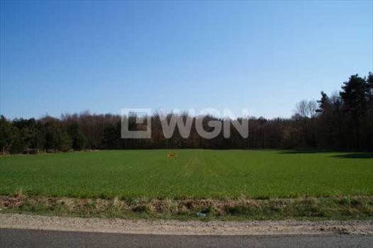 Działka budowlana na sprzedaż Machowino, Słupsk, Machowino 7 500m2 Foto 3