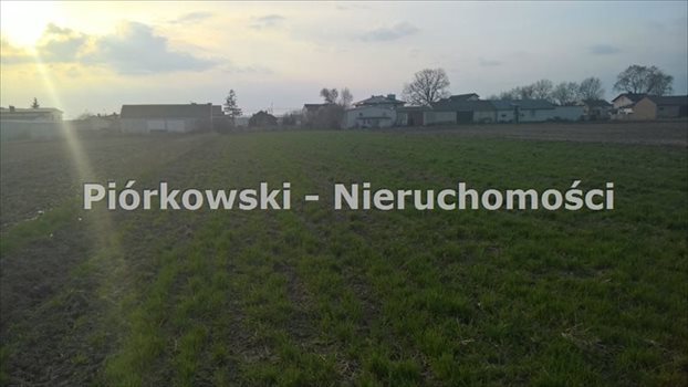 Działka inna pod dzierżawę Sokołów, Rodzinna 6 000m2 Foto 6
