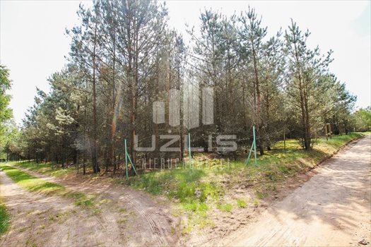 Działka inna na sprzedaż Konarzyny, Brak 2 249m2 Foto 8