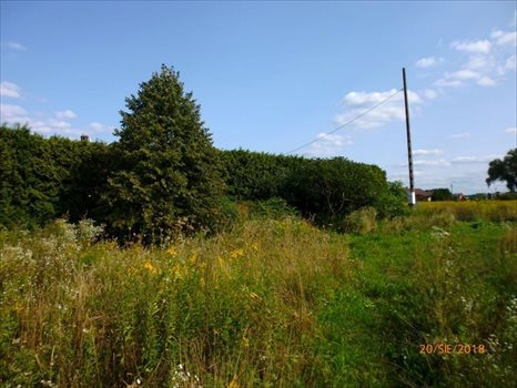 Działka budowlana na sprzedaż Kolonia Lesznowola, Gwarna 1 300m2 Foto 2