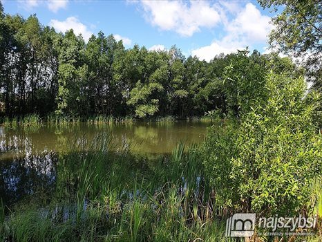 Działka inna na sprzedaż Jagatowo 26 452m2 Foto 4