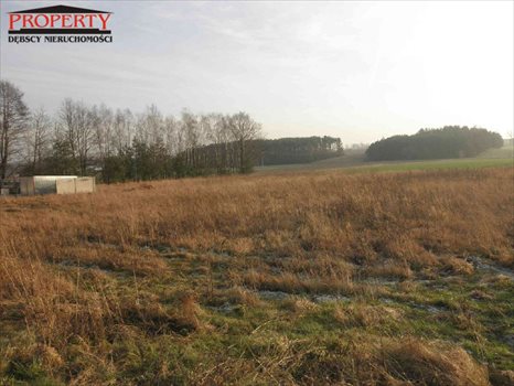 Działka budowlana na sprzedaż Zofiówka, ok. Zofiówki 1 256m2 Foto 1