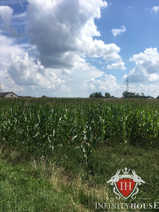 Działka rolna na sprzedaż Nowe Paski 200 000m2 Foto 3