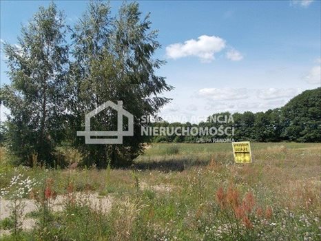 Działka rolna na sprzedaż Małe Swornegacie 4 792m2 Foto 8