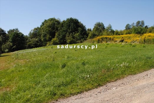 Działka budowlana na sprzedaż Mogilany, Leszczynowa 1 000m2 Foto 7