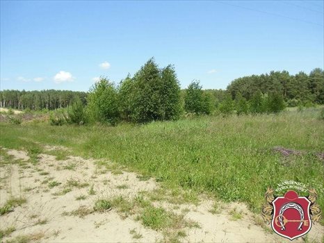 Działka komercyjna na sprzedaż Zakrzewo 14 600m2 Foto 8