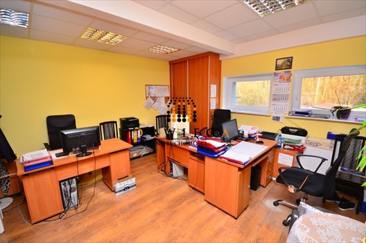 Lokal użytkowy na sprzedaż Gorzów Wielkopolski 670m2 Foto 6