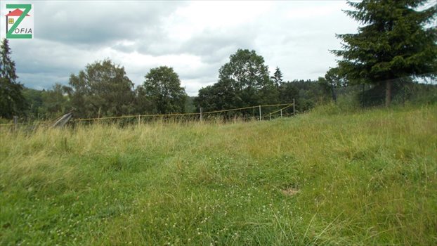 Działka budowlana na sprzedaż RABKA-ZDRÓJ 1 342m2 Foto 2