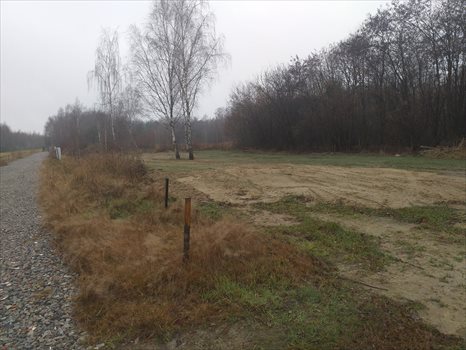 Działka budowlana na sprzedaż Gliwice, Wielopole 775m2 Foto 3