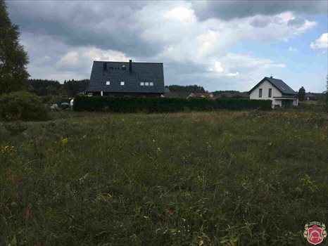 Działka budowlana na sprzedaż Bojano, Jana Chrzciciela 1 307m2 Foto 4
