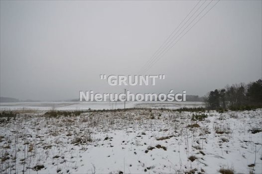 Działka inna na sprzedaż Biała 39 000m2 Foto 3
