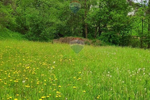 Działka rolna na sprzedaż Rabka-Zdrój 1 472m2 Foto 5