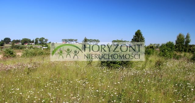 Działka budowlana na sprzedaż Bojano 1 000m2 Foto 1