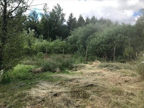 Działka budowlana na sprzedaż Małkowo, Pałacowa 1 883m2 Foto 6