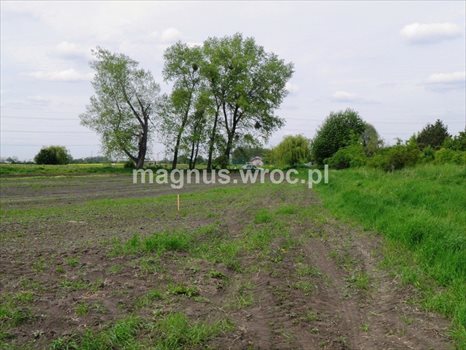 Działka budowlana na sprzedaż Domasław 1 170m2 Foto 7