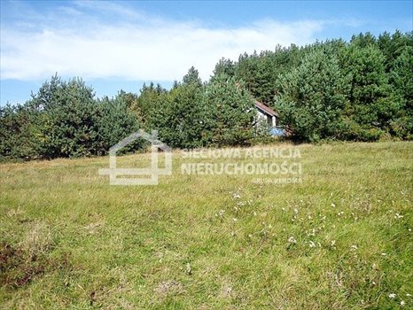 Działka budowlana na sprzedaż Dobrzewino 1 036m2 Foto 3