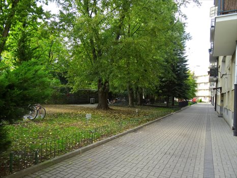 Kawalerka na wynajem Warszawa, Żoliborz, ul. Adama Mickiewicza 30m2 Foto 10