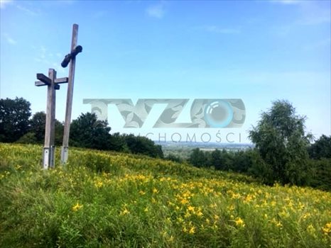 Działka rolna na sprzedaż Parchatka 10 003m2 Foto 3
