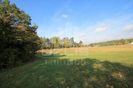 Działka siedliskowa na sprzedaż Grabówko, Jezioro, Las, Grabówko 3 100m2 Foto 7