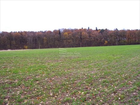 Lokal użytkowy na sprzedaż Golnice 200 000m2 Foto 12